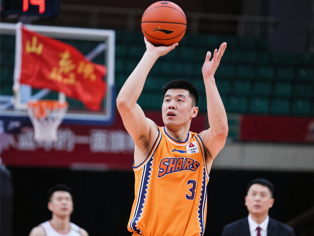 期间提供了 期间提供了