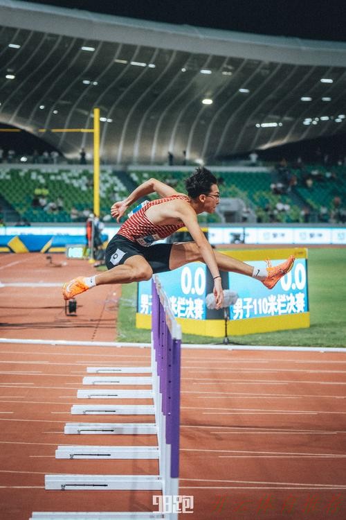 开云体育官方网站：徐卓一夺得田径男子110米栏冠军